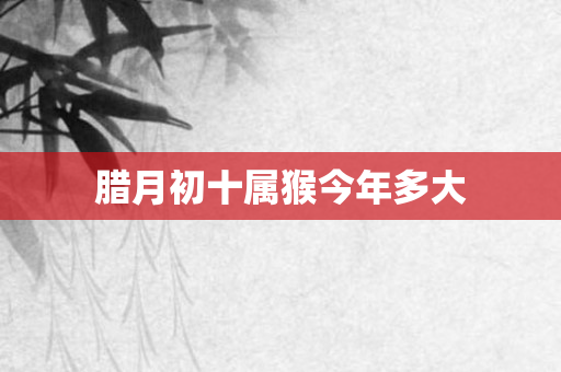 腊月初十属猴今年多大