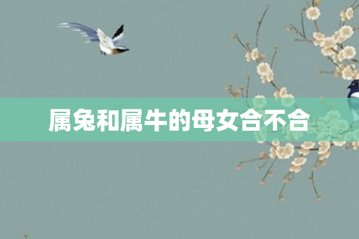 属兔和属牛的母女合不合