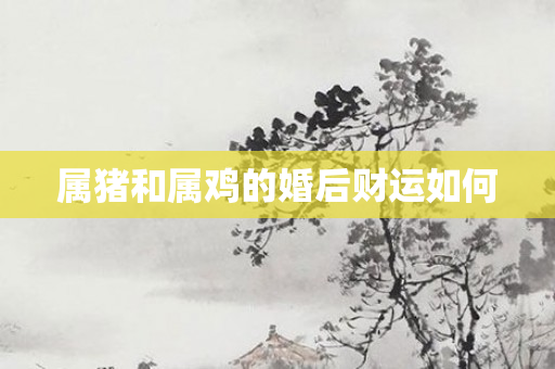 属猪和属鸡的婚后财运如何