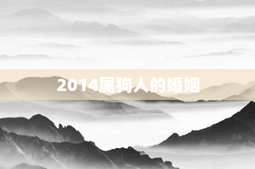 2014属狗人的婚姻