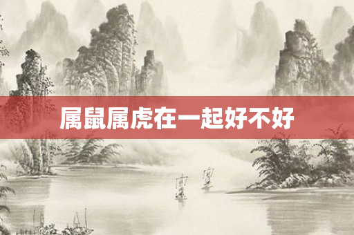 属鼠属虎在一起好不好