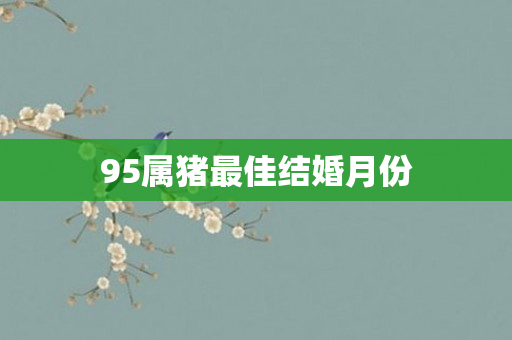 95属猪更佳结婚月份