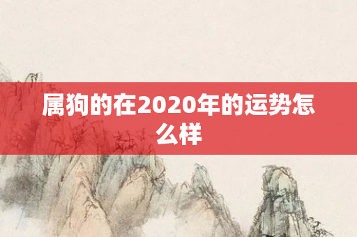 属狗的在2020年的运势怎么样
