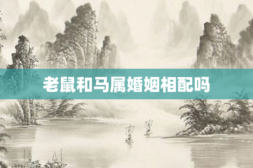 老鼠和马属婚姻相配吗