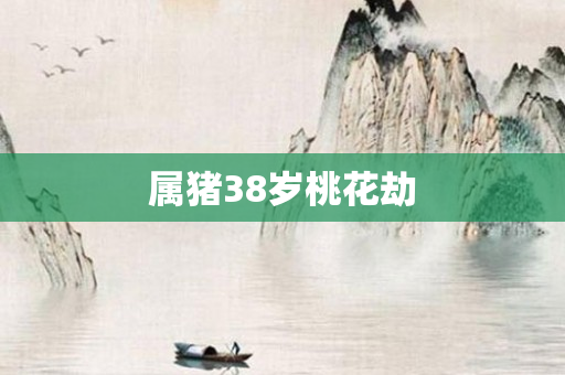 属猪38岁桃花劫
