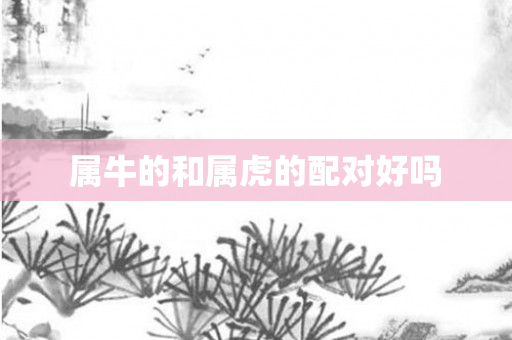 属牛的和属虎的配对好吗