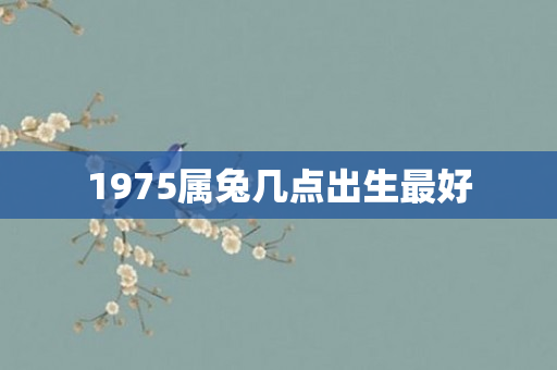 1975属兔几点出生更好
