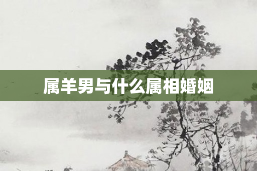 属羊男与什么属相婚姻