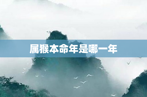 属猴本命年是哪一年