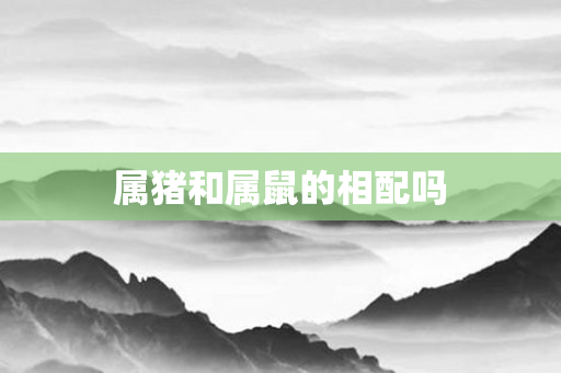 属猪和属鼠的相配吗