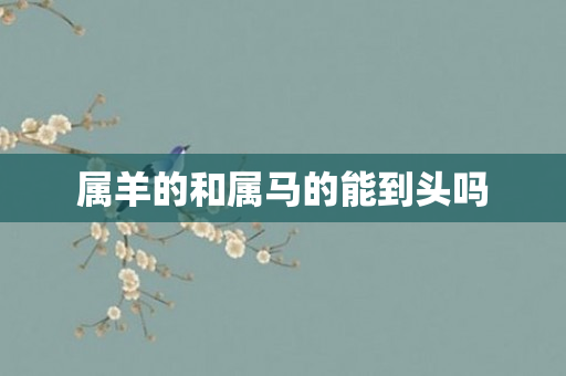 属羊的和属马的能到头吗