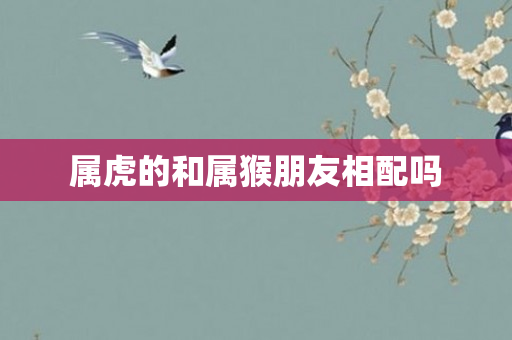 属虎的和属猴朋友相配吗