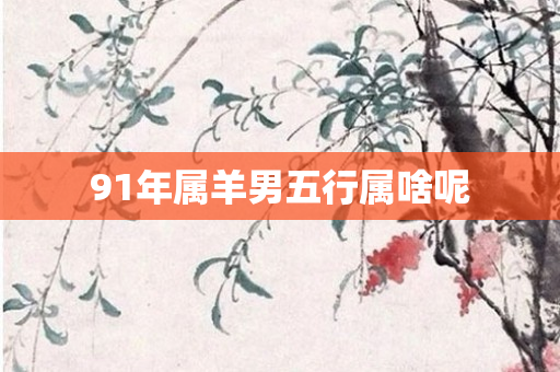 91年属羊男五行属啥呢