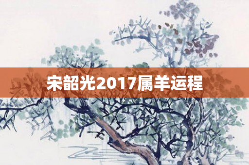 宋韶光2017属羊运程