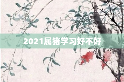 2021属猪学习好不好