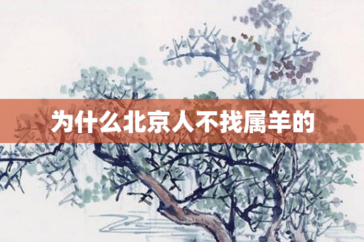 为什么北京人不找属羊的