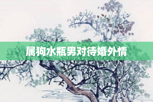 属狗水瓶男对待婚外情