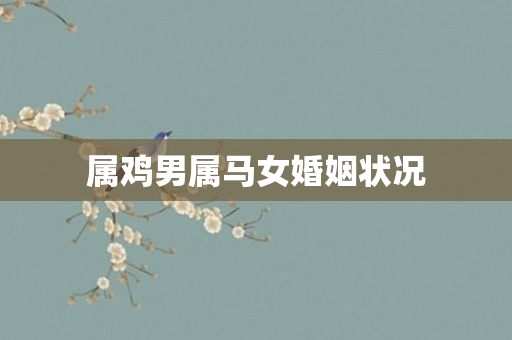 属鸡男属马女婚姻状况