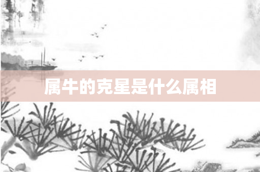 属牛的克星是什么属相