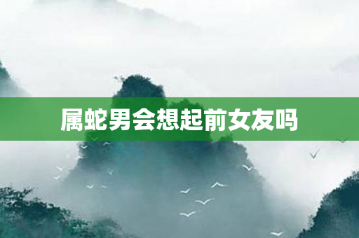属蛇男会想起前女友吗