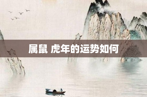 属鼠 虎年的运势如何