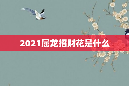2021属龙招财花是什么