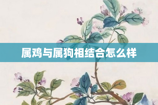 属鸡与属狗相结合怎么样