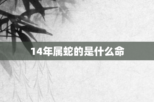 14年属蛇的是什么命