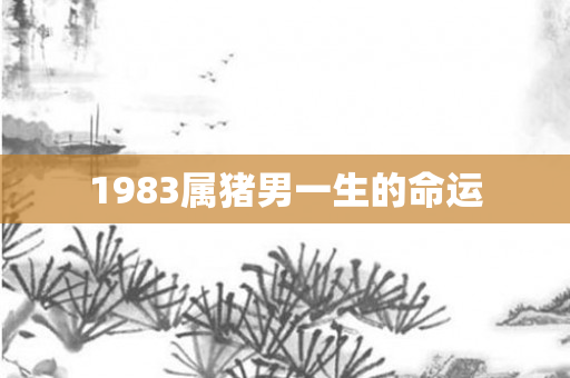 1983属猪男一生的命运