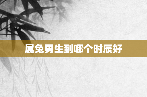属兔男生到哪个时辰好