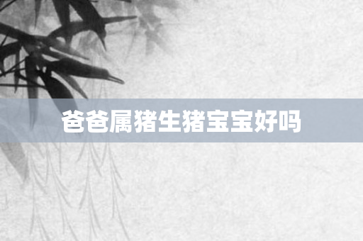 爸爸属猪生猪宝宝好吗