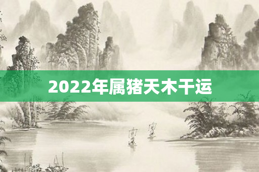 2022年属猪天木干运