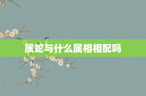 属蛇与什么属相相配吗