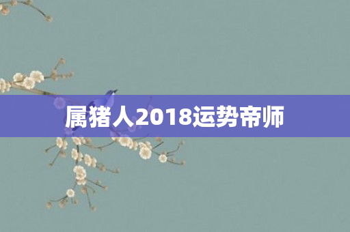 属猪人2018运势帝师