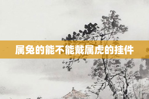 属兔的能不能戴属虎的挂件