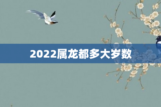 2022属龙都多大岁数