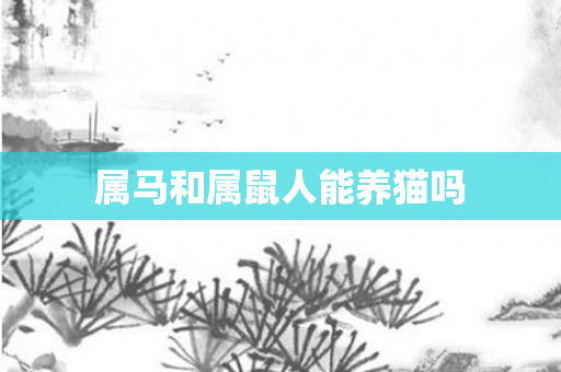 属马和属鼠人能养猫吗
