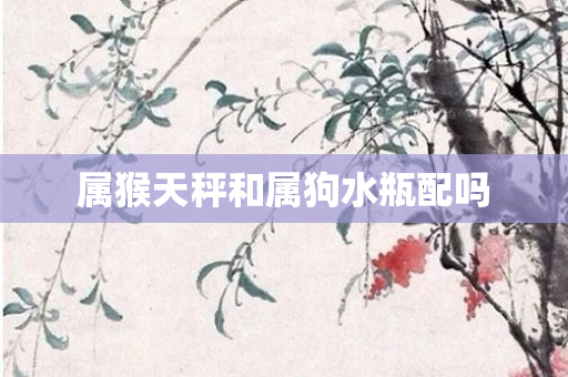 属猴天秤和属狗水瓶配吗
