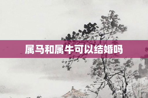 属马和属牛可以结婚吗