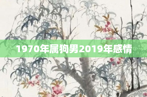 1970年属狗男2019年感情