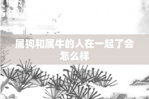 属狗和属牛的人在一起了会怎么样