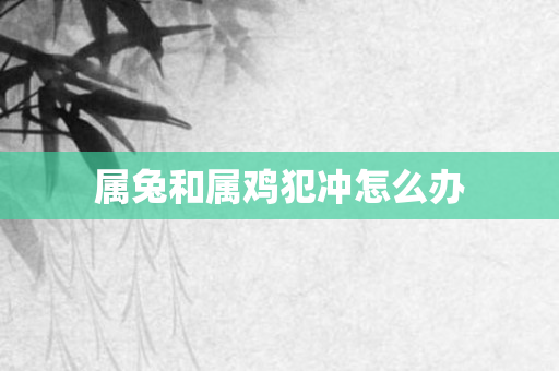 属兔和属鸡犯冲怎么办