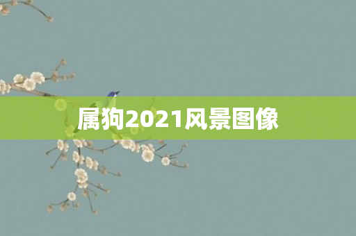 属狗2021风景图像