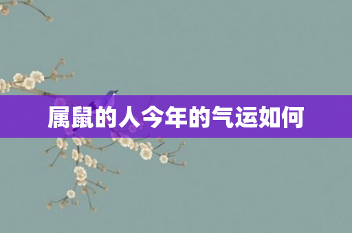 属鼠的人今年的气运如何