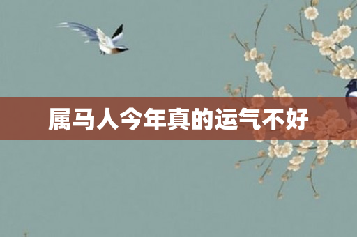 属马人今年真的运气不好