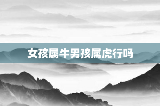 女孩属牛男孩属虎行吗