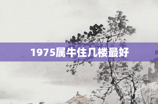 1975属牛住几楼更好