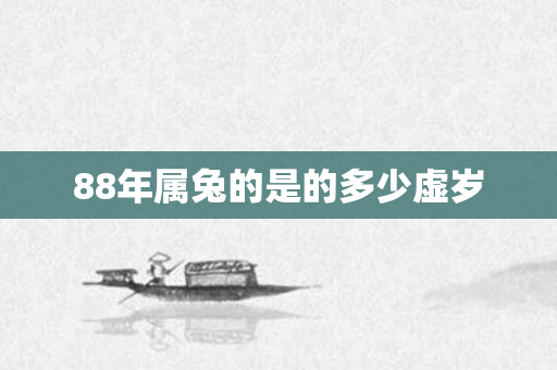 88年属兔的是的多少虚岁