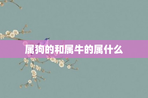 属狗的和属牛的属什么