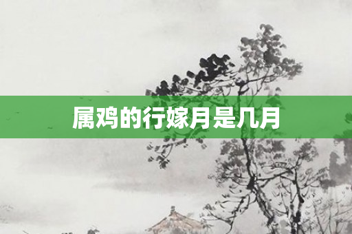 属鸡的行嫁月是几月